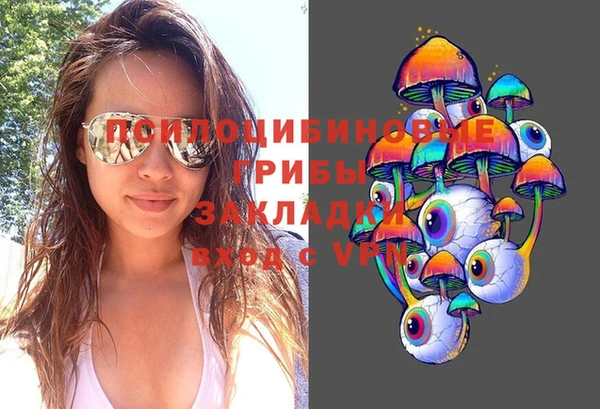 spice Балахна