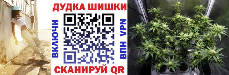 нарко площадка какой сайт купить наркотики сайты Тара Шишки марихуана ГИДРОПОН